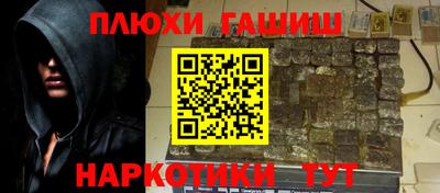 крисы Гатчина